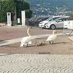 Lägenhet Maggiore